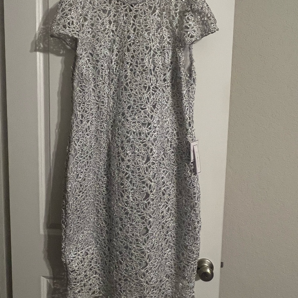 Elegant Lace Dress in Silver and White